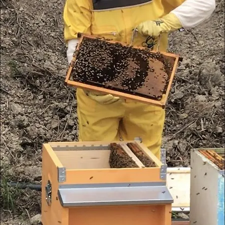 Relais San Sebastiano * Pietra Ligure